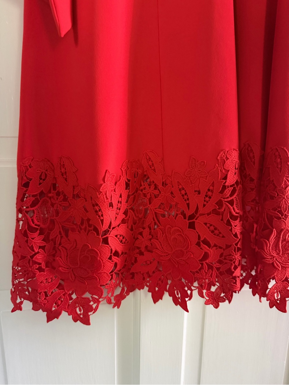 Lela Rose Vibrant Red Sleeveless Tie-Waist Maxi Dress - Picture 7 of 11